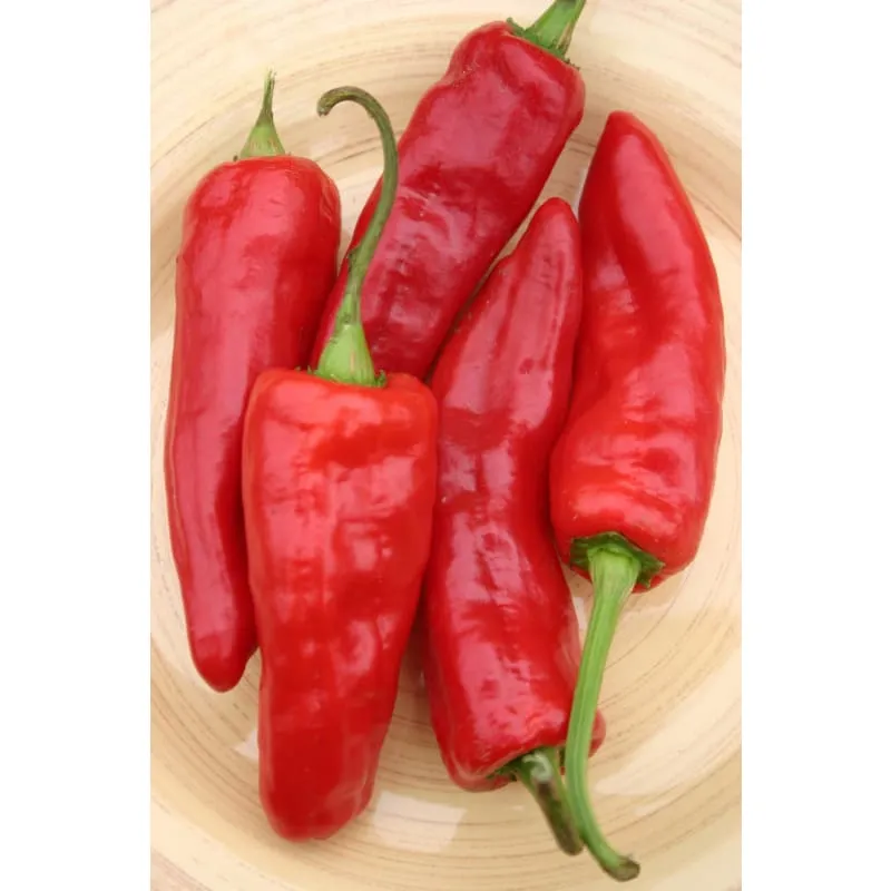 Marconi Red Pepper (80-90 Days)