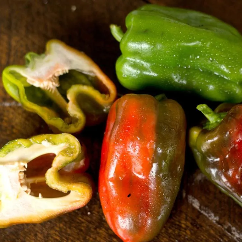 Takii's New Ace Pepper (F1 Hybrid 62 Days)