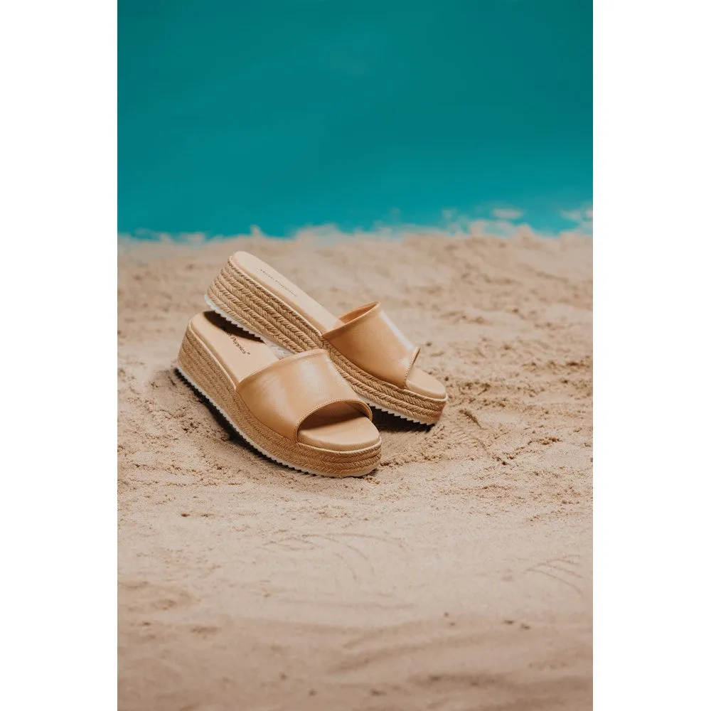 Tan Robin Slides